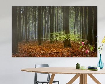 Speulderbos in de herfst van Ton van den Boogaard