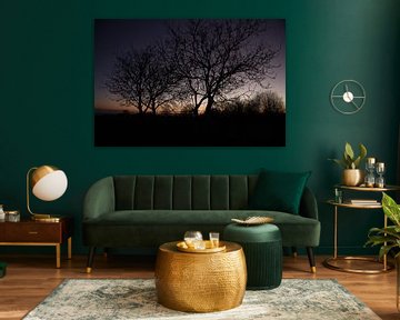 Baum im Abendrot nach Sonnenuntergang
