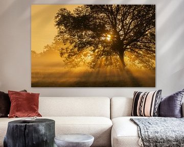 Opkomende zon  in de Loonse en Drunense Duinen. van Susan van Etten