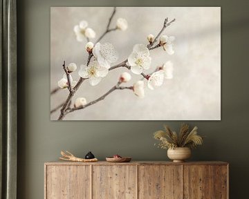 White blossom on branches