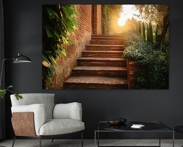 Rustic staircase in sunlight by Imperial Art House