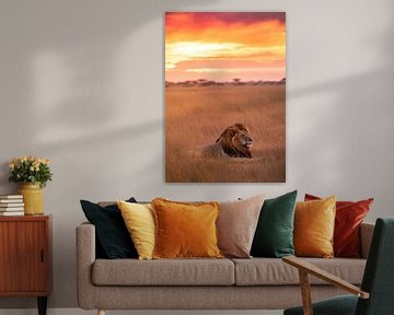 Lion "King of the Savannah: The Legacy of the Wilderness"