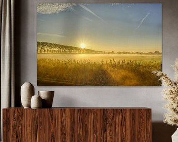 Mistige zonsopgang over de velden van Rudi Everaert