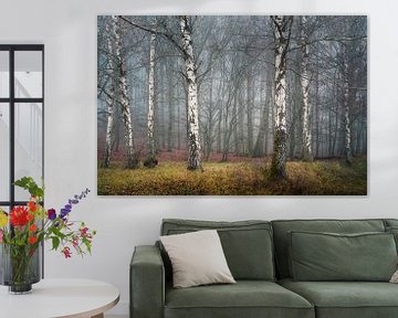 Stilte in het berkenbos