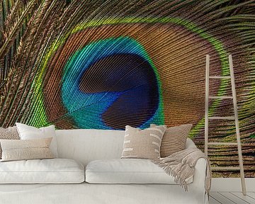 Mosgroen, blauw en bruin: Panorama van een pauwenveer van Marjolijn van den Berg