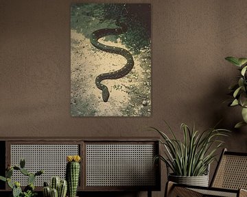 The play of reflections: A snake in the dance of light