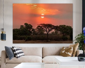 Afrikaanse zonsondergang