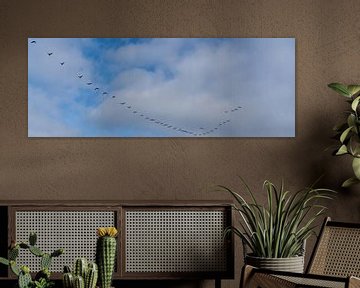 Zwerm vogels op weg naar het hoge noorden van Henry Oude Egberink
