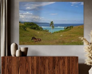 Horse in tropical landscape by Martijn Stoppels