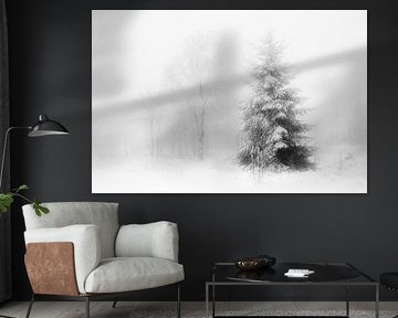 'WINTER', trees in the fog. Black-and-white photography. by Femke den Hollander