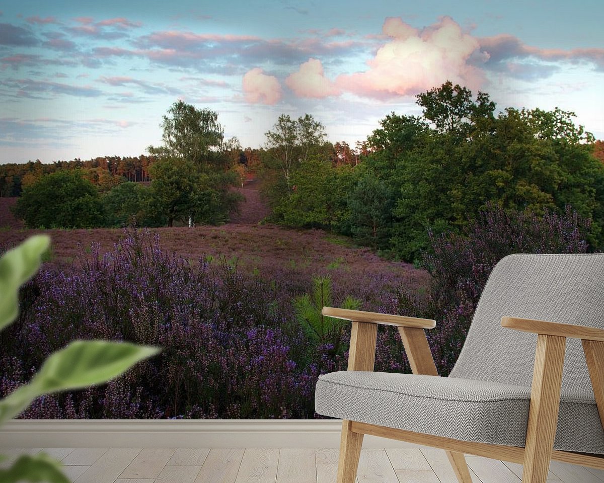 Raumvorschau
