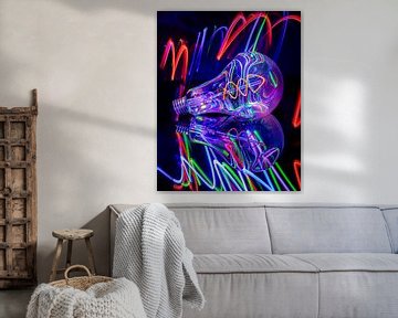 Discolights by Jenny Kambeck
