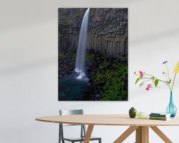 Svartifoss waterfall, Iceland von Pep Dekker