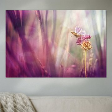 Willing to let go sur Bob Daalder