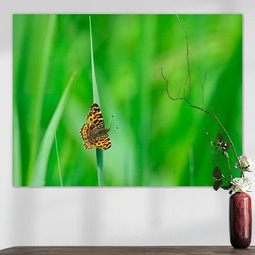 Jardinière terrestre