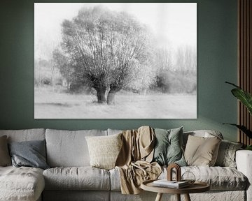 pollard willow in ICM technique