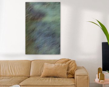 swaying grasses along the water