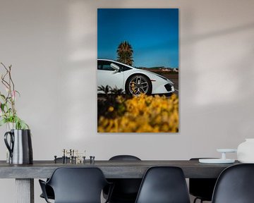 Super Cars