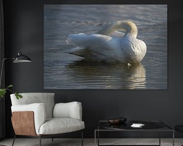 The Swan - 2