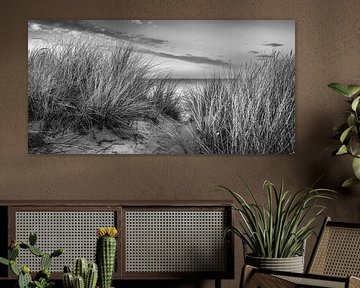 Duinen op het strand in zwart-wit van Manfred Voss, Zwart-Wit Fotografie