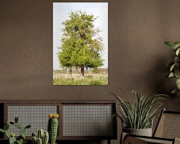 Alleenstaande boom van Bas Nieuwenhuijsen