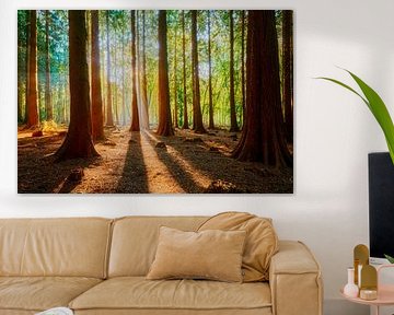 Speulderbos