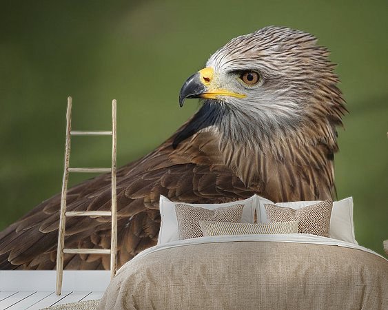 Aperçu de la chambre