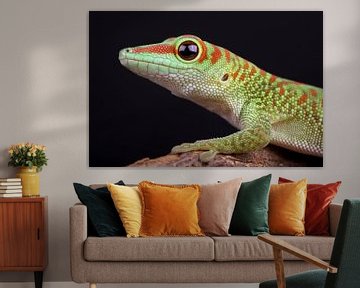 Madagascar Day Gecko (Phelsuma madagascariensis) by Ronald Pol