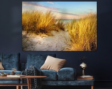 Duinen op het strand van Voss fotografie