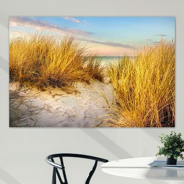 Dunes on the beach by Voss photography