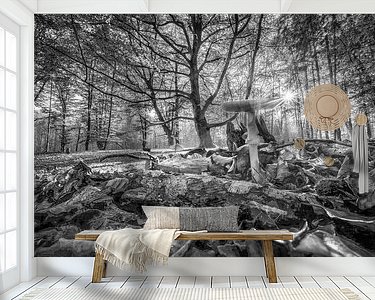 Voorbeeld van het werk in een kamer