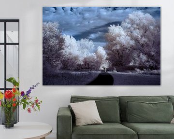 Tussen licht en werkelijkheid van Rik Moors