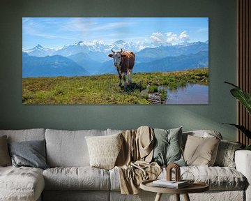 loeiende koe op bergweide Niederhorn, zwitserse alpen van SusaZoom