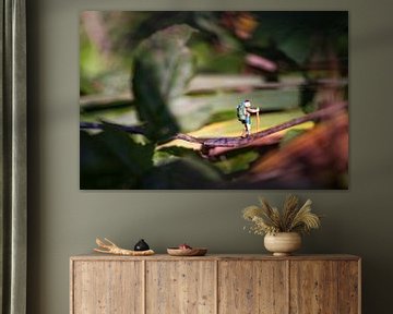 Miniatuur avontuur van Rik Moors
