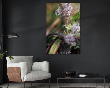 Kleine stappen, groot landschap van Rik Moors
