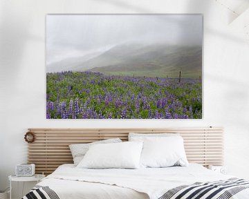 Lupine veld in de mist van PeetMagneet