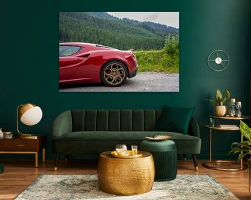 Alfa Romeo 4C in de natuur van The Wandering Piston