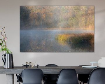 Mist in het Mensingebos van Peter Kuipers