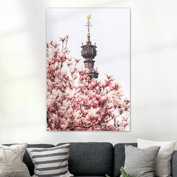 Der Heilige Stevens und die Magnolien's von Karsten Russ