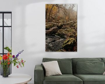 Herfst in de Ardennen van Geert Van Baelen