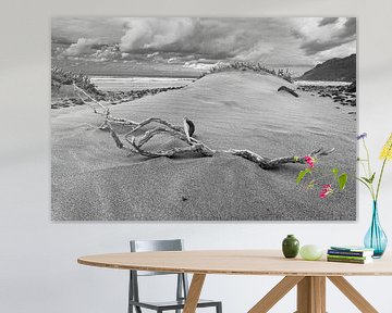 Flotsam op het strand van Famara / Lanzarote van Flatfield