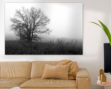 Baum in der Rhön im Winter-Nebel