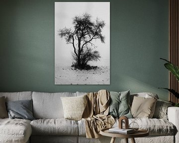 Einsamer Baum im Winter und Nebel in der Rhön