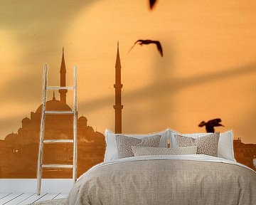 Magical Istanbul, sunset with seagulls, mosques shrouded in gold, warm light