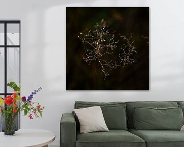 beautiful water drops in a misty landscape by Miny'S