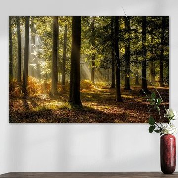 And then when the sun comes by Jos Erkamp