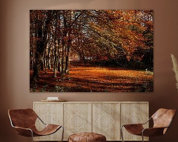 Herfstmagie in het Bos Warm Licht en Gouden Bladeren herfst van Femke Ketelaar