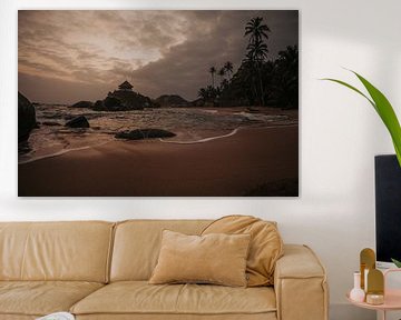 Magie van de ochtend in Tayrona National Park van Thirza Wijnja