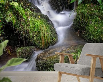 Wild stream in the Black Forest by Flatfield