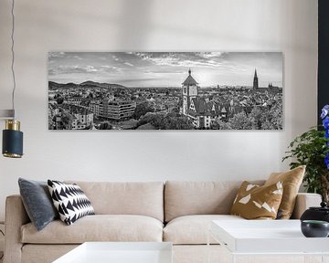 Freiburg skyline zwart-wit van Manfred Voss, Zwart-Wit Fotografie